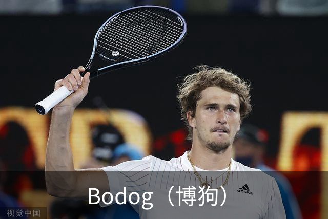 Bodog（博狗）公司展示